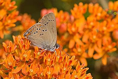 《Outbreak》新作Steam页面上线 僵尸战斗生存